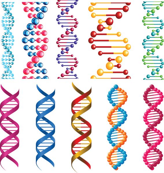 مولکول ها و سلول های رنگارنگ DNA