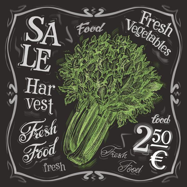 قالب طراحی لوگو وکتور کرفس سبزیجات تازه غذا یا