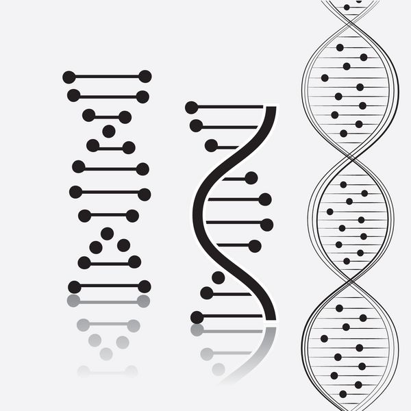طراحی DNA