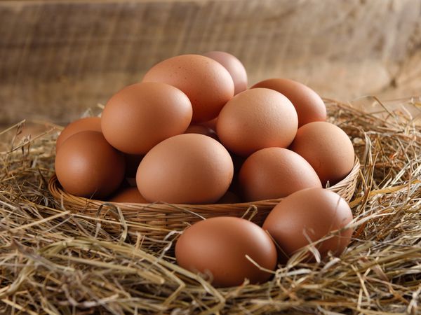 تخم مرغ در یک سبد روی علف خشک