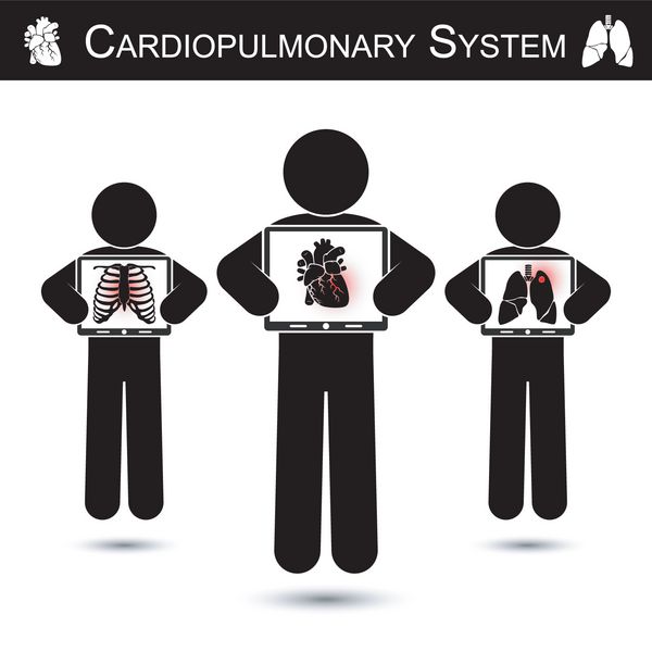 سیستم قلبی ریوی انسان صفحه نمایش مانیتور را نگه می دارد و تصویربرداری را نشان می دهد
