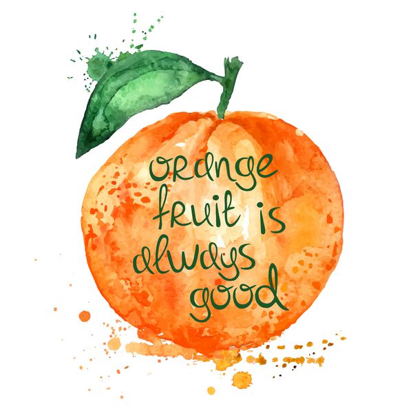 تصویر آبرنگ میوه پرتقال جدا شده