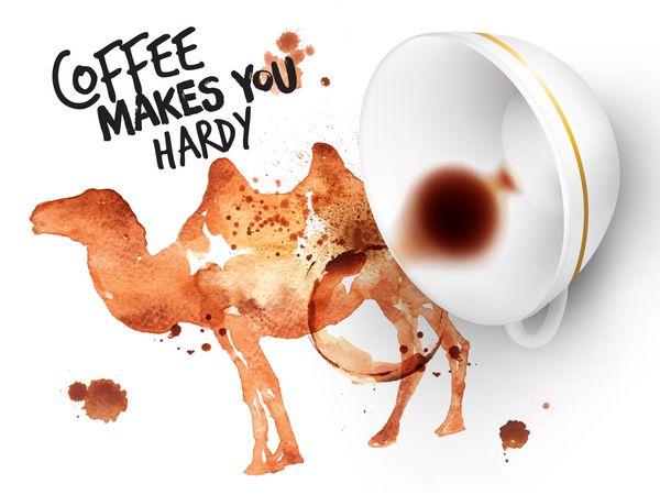 پوستر شتر قهوه وحشی