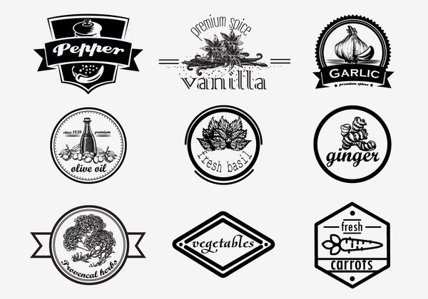 ست لوگوی اسپایس به سبک وینتیج مجموعه لوگو تایپ‌های ادویه‌ای با دست کشیده شده وکتور