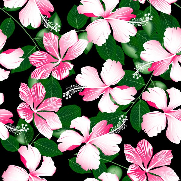 الگوی بدون درز گل های هیبیسکوس صورتی رنگارنگ استوایی