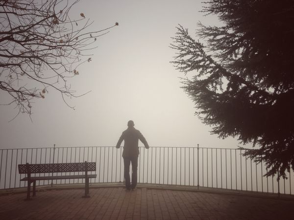 مردی در مه