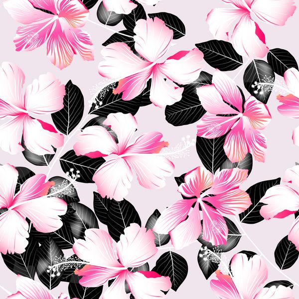 گل های هبیسکوس استوایی با الگوی بدون درز برگ های سیاه