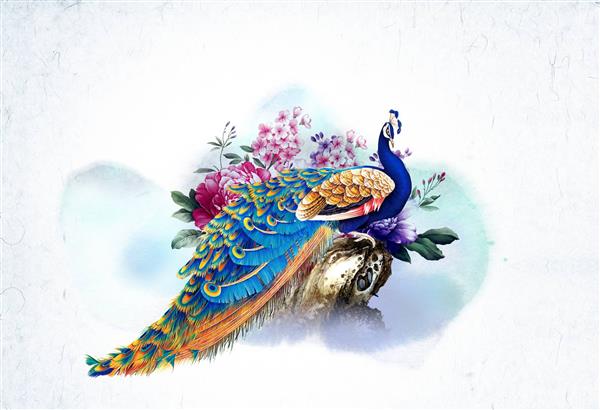 طرح پوستر کاغذ دیواری طاووس زیبا