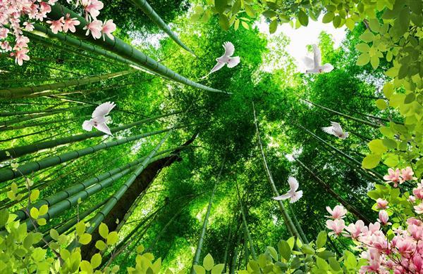 طرح پوستر آسمان مجازی جنگل و پرنده