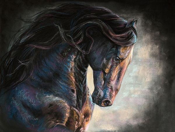 پرتره اسب فریزیایی سیاه با یال بلند در حرکت نقاشی پاستلی
