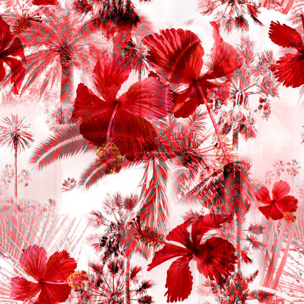 برگ‌های نخل قرمز استوایی و گل‌های شکوفه هیبیسکوس پس‌زمینه عجیب و غریب به رنگ دوتایی جنگل کلاژ عکس شگفت انگیز با لایه بندی افکت و روکش روی پس زمینه هندسی