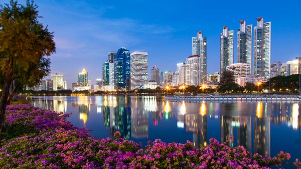 نور در شهر منظره زیبا پیش زمینه و بازتاب گل ها بانکوک تایلند