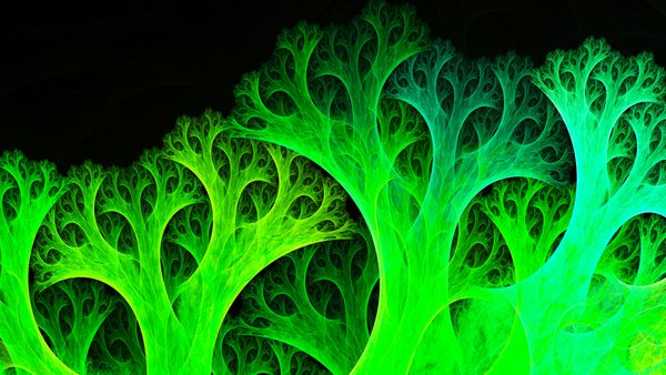 جنگل افسانه مرجان های شاخه دار تصویر سورئال سه بعدی هندسه مقدس الگوی آرامش روانی مرموز بافت انتزاعی فراکتال کارهای هنری دیجیتال جادوی طالع بینی گرافیکی