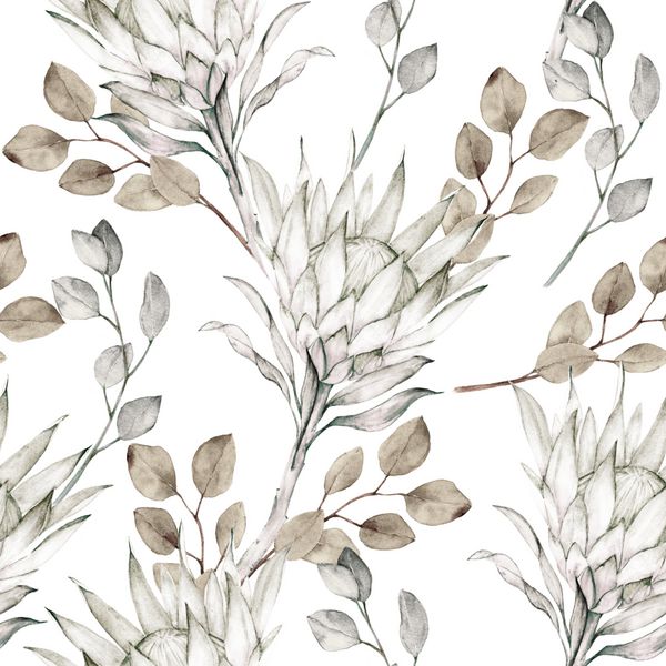 الگوی پروتئا شاخه های آبرنگ و برگ های اکالیپت نقوش بدون درز با عناصر گلدار طراحی شده با دست در زمینه سفید برای بسته بندی کاغذ دیواری پارچه پارچه