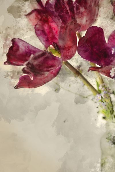 نقاشی آبرنگ از تصویر باغ انگلیسی وینتیج زیبا از لاله ها در شیشه مزون شیشه ای