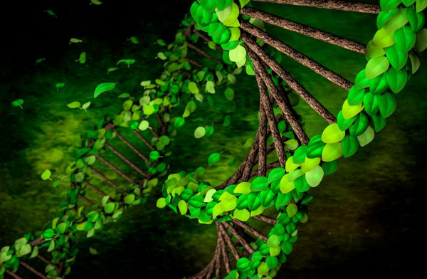 رندر سه بعدی DNA DNA با برگ ها شاخه های چوبی بین رشته ها پوشیده شده است