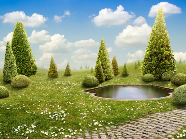 پارک سبز - پس زمینه برای هنر شما