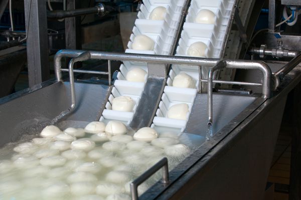 تصاویری از یک کارخانه پنیر ایتالیایی که موزارلا پروولا پروولون ریکوتا تولید می کند