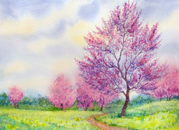 منظره بهاری آبرنگ درخت گلدار در مزرعه ای کنار مسیر