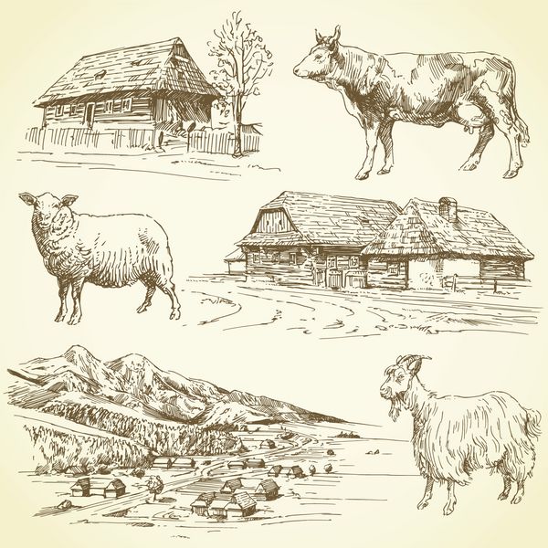 مجموعه طراحی شده با دست - منظره روستایی روستا حیوانات مزرعه