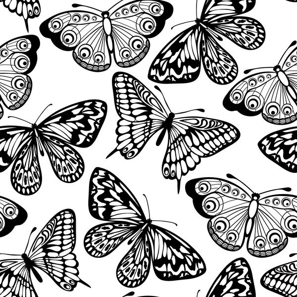 پس زمینه بدون درز زیبا از رنگ های سیاه و سفید پروانه ها شباهت های زیادی به مشخصات نویسنده دارد