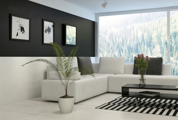 اتاق نشیمن سیاه و سفید با کاناپه راحت