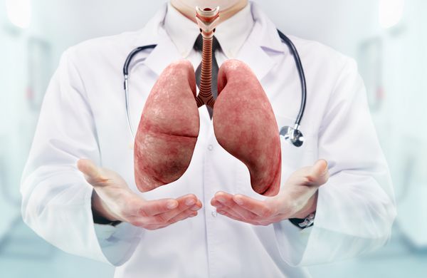 دکتر با گوشی پزشکی و ریه روی دست در بیمارستان کیفیت بالا