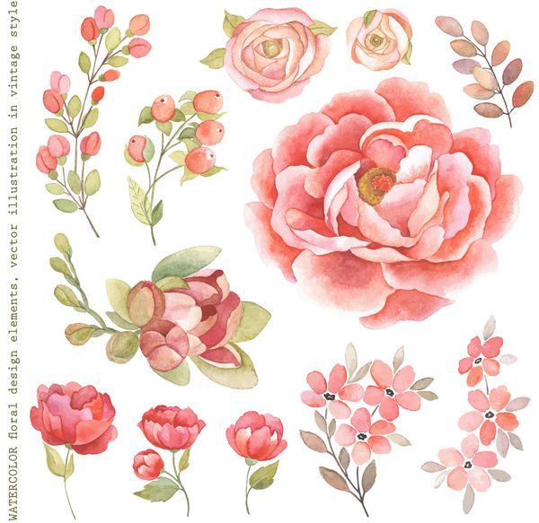 مجموعه ای از شاخه های گل گل و گیاه آبرنگ به سبک وینتیج