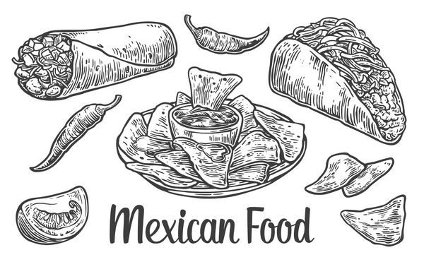 ست غذای سنتی مکزیکی با پیامک بوریتو تاکو چیلی گوجه فرنگی ناچو وکتور تصویر حکاکی شده قدیمی برای منو پوستر وب جدا شده در پس زمینه سفید