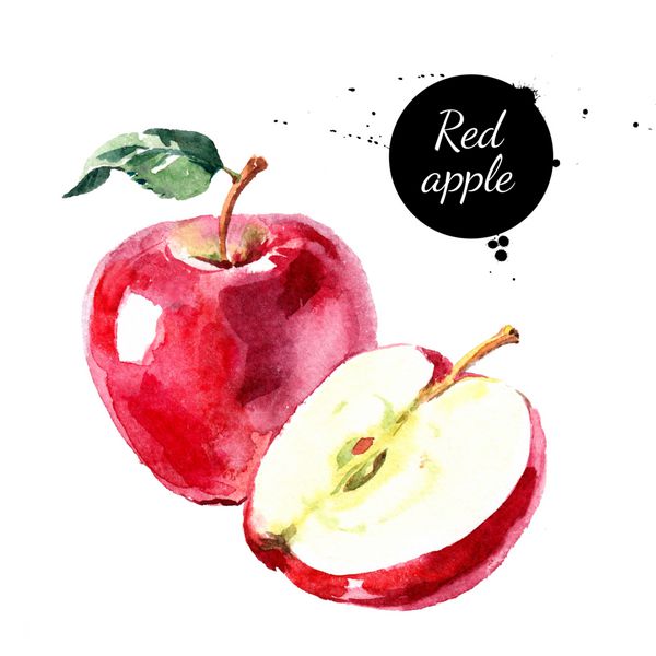 سیب قرمز با آبرنگ تصویر میوه های غذای طبیعی با محیط زیست جدا شده در پس زمینه سفید