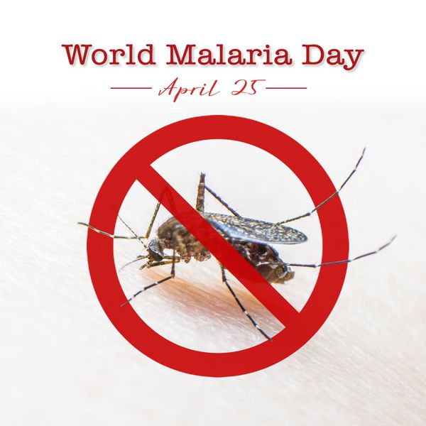 روز جهانی مالاریا بدون پشه