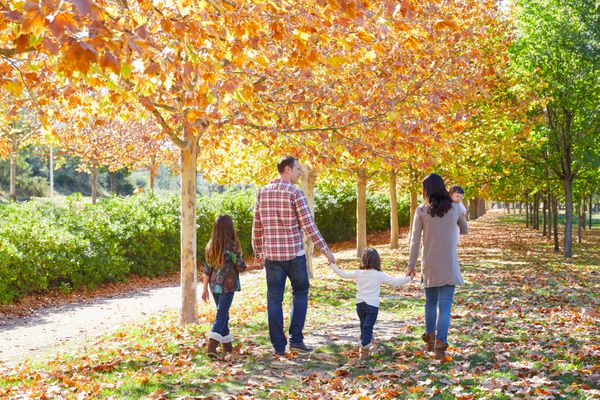 قدم زدن خانواده در پارک پاییزی با برگ های افتاده