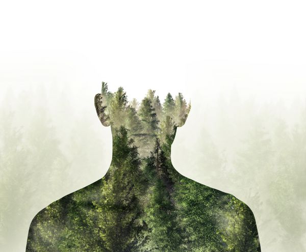 نوردهی دوگانه شخص و جنگل رندر شده سه بعدی تصویر دیجیتال