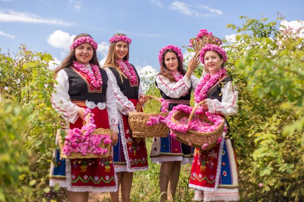سه دختر بلغاری با لباس سنتی در حال چیدن گل رز در جشنواره سالانه گل رز در کازانلاک بلغارستان