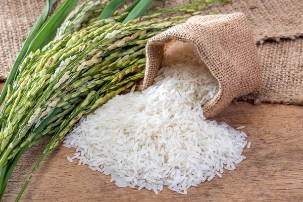 برنج یاس در گونی