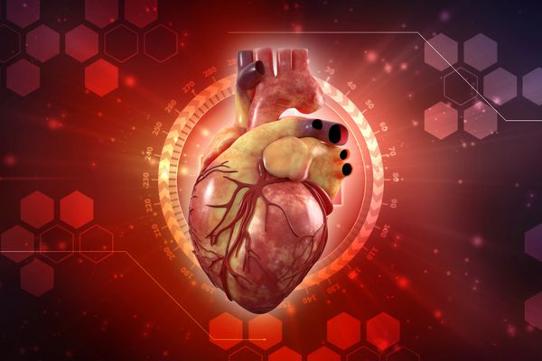 رندر سه بعدی Human Heart - Anatomy of Human Heart