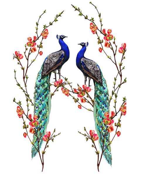 پس زمینه وکتور وکتور زیبا با طاووس گل های بهاری عجیب و غریب شاخه ها سبک بوهمیا شی ایزوله