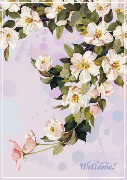 آبرنگ شاخه شکوفه زیبای گل یاس پس زمینه مفهومی شکوفه های گیلاس عاشقانه و دعوت تولد