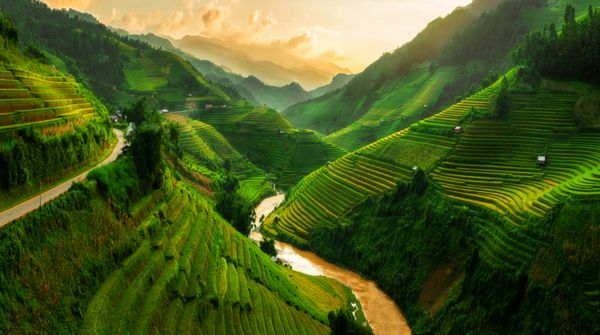مو کانگ چای مزرعه برنج پلکانی چشم انداز در نزدیکی ساپا شمال ویتنام
