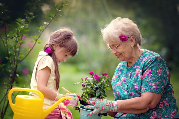 مادربزرگ خوشحال با نوه اش که در باغ کار می کند