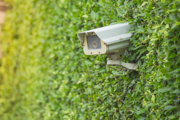 دوربین مدار بسته امنیتی روی دیوار درخت در باغ