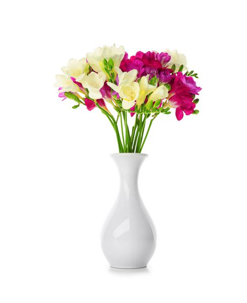 دسته گل فریزیا زیبا در گلدان در زمینه سفید