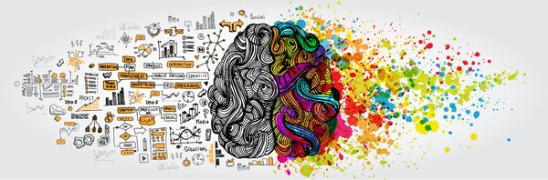 مفهوم چپ راست مغز انسان بخش خلاقانه و بخش منطقی با doodle اجتماعی و تجاری