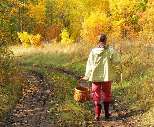 دختر مجرد با سبد حصیری برای قارچ و انواع توت ها که در یک جاده خاکی در روز آفتابی پاییزی جنگل قدم می زند منظره پاییزی پس زمینه روستایی پاییز