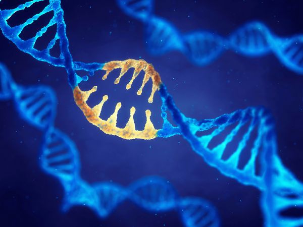 مولکول DNA مارپیچ دوگانه با ژن های اصلاح شده تصحیح جهش با مهندسی ژنتیک تصویر سه بعدی