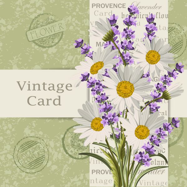 گل های اسطوخودوس و گل های بابونه زیبا برای کارت دعوت پس زمینه کارت پستال قدیمی وکتور