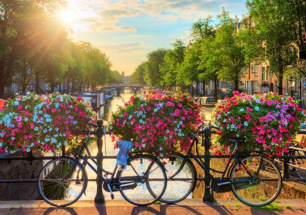 طلوع زیبای تابستان در کانال های معروف میراث جهانی یونسکو در آمستردام هلند با گل ها و دوچرخه های پر جنب و جوش روی یک پل