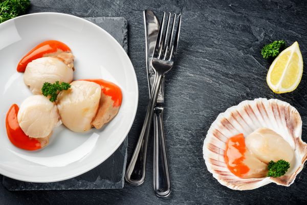 گوش ماهی خام ملکه در مفهوم شام غذاهای دریایی پس زمینه غذا