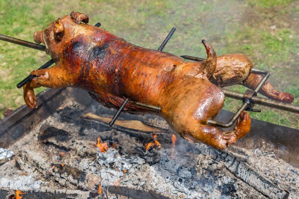 خوک کامل خوک در حال شیر دادن آتش کباب کباب کباب bbq آشپز گوشت خوک غذا غذا وعده غذایی شام