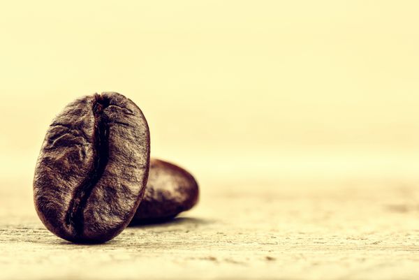 دانه های قهوه برشته شده در پس زمینه روشن با کپی اسپیس